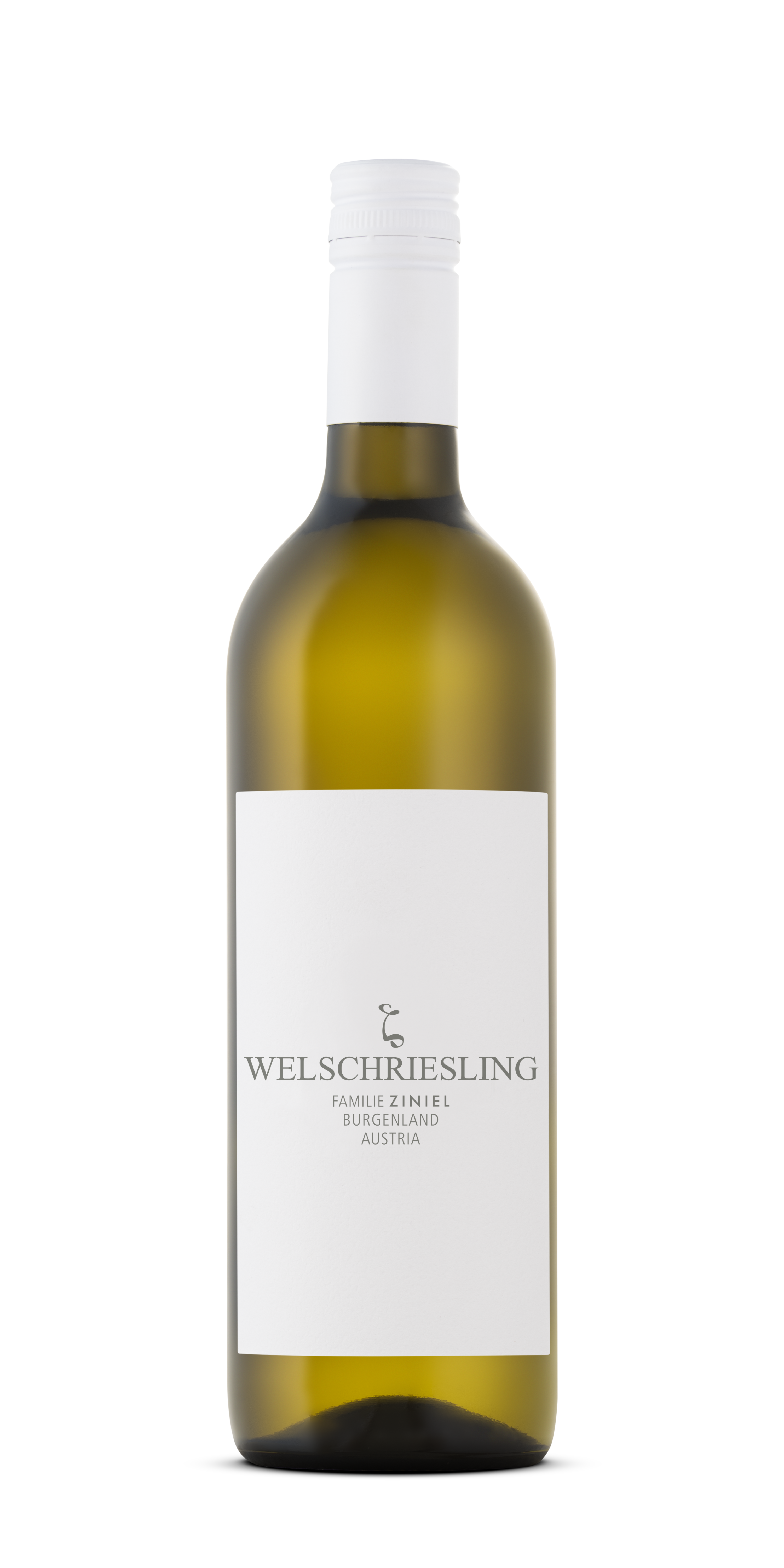 Ziniel-Welschriesling